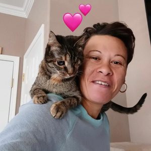 cat-sitter-job-opportunities