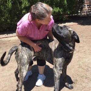 colorado-pet-sitter-jobs