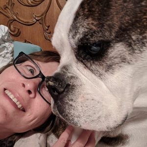 dog-sitter-jobs-colorado