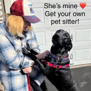 finding-a-dog-walker-job-in-colorado-springs