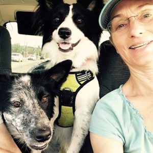 finding-a-dog-walker-job-near-me