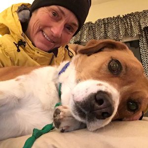 finding-a-pet-sitter-job
