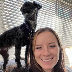 finding-pet-sitter-job-opportunities