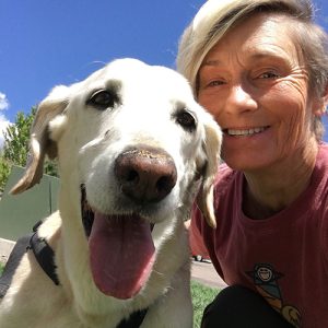 how-to-get-a-pet-sitting-job