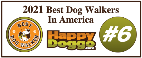 Best Dog Walkers in America 2021Happy Doggo