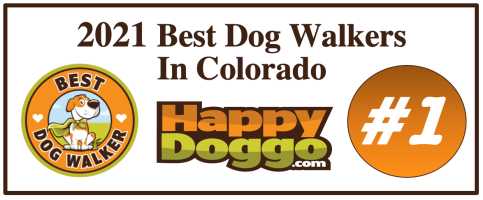 Best Dog Walker in Colorado 2021Happy Doggo