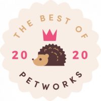 The Best of 2020Petworks
